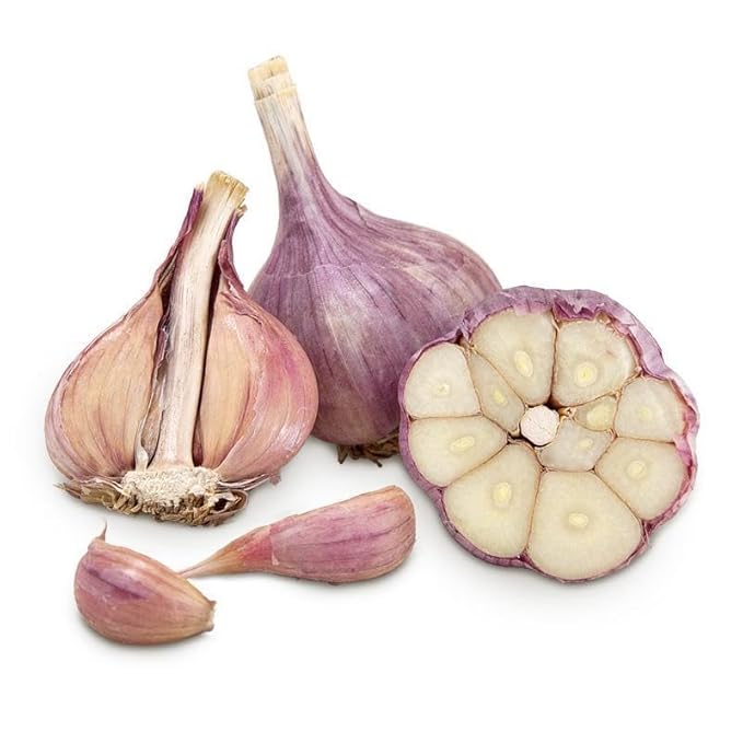 5 pack of Fresh Purple Garlic Bulb - Great for Planting and Growing OR Eating by Greenhouse PCA