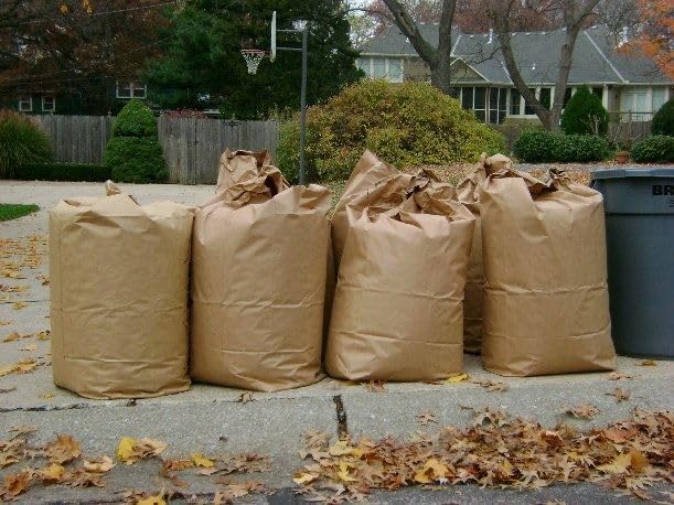 Rocky Mountain Goods Yard Waste Bags - Large 30 Gallon Brown Paper Leaf Bags for Yard/Garden/Lawn - Environmental Friendly - Tear Resistant - Heavy Duty - 2 Ply Self Standing (Pack of 5)