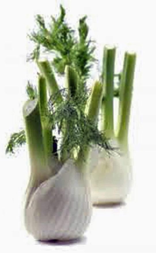Sweet Fennel Seed, Heirloom, Non GMO, 100 Seeds, Grow Your Own Aromatic & Flavorful Culinary Herb Garden
