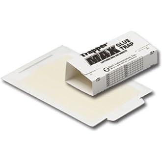 Carpet Beetle Traps – 20 Pack | Sticky Indoor Glue Boards for Carpet Beetles, Larvae & Other Crawling Insects | Non-Toxic Pest Control Trap & Monitor for Closets, Storage Areas, and More