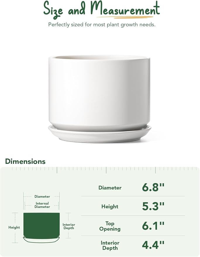 LE TAUCI Ceramic Pots for Plants, 6.8 Inch Plant Pots with Drainage Hole & Saucer, Modern Planter for Indoor Plants, Stable & Durable, Perfect for Living Room or Office Decor, White