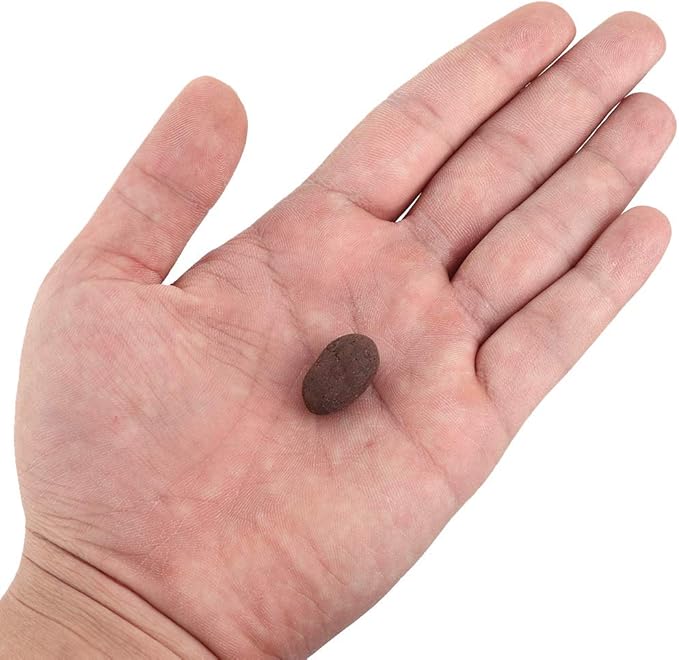 Clay Pebbles, Anion Clay Rocks, Easy to Use, Round for Filter Water Quality Hydroponic Plant Maintain Water and Nutrients Soilless Culture
