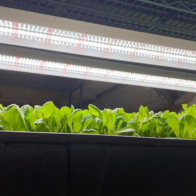 Active Grow Integrated Dual T8 4FT LED Grow Light - T8 Grow Lights for Indoor Plants, Seed Starting & Microgreens - 38W - Sun White Pro Full Spectrum - Linkable - 120-277V