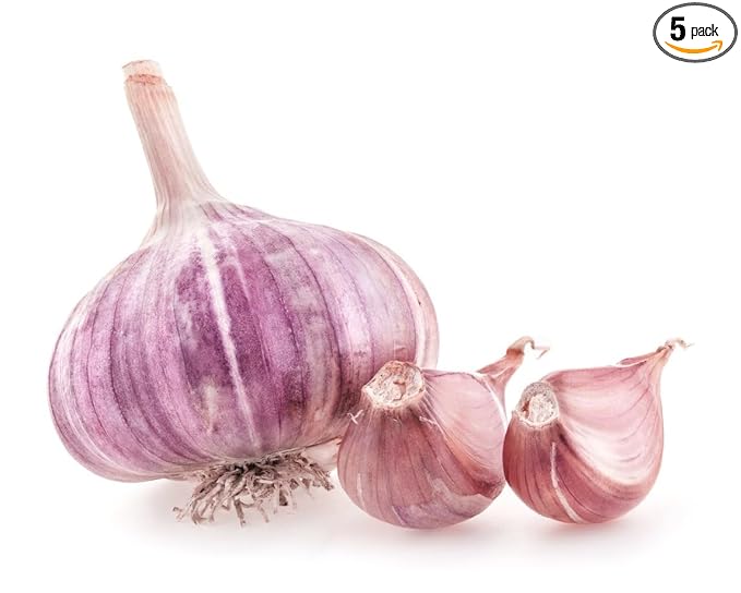 5 pack of Fresh Purple Garlic Bulb - Great for Planting and Growing OR Eating by Greenhouse PCA