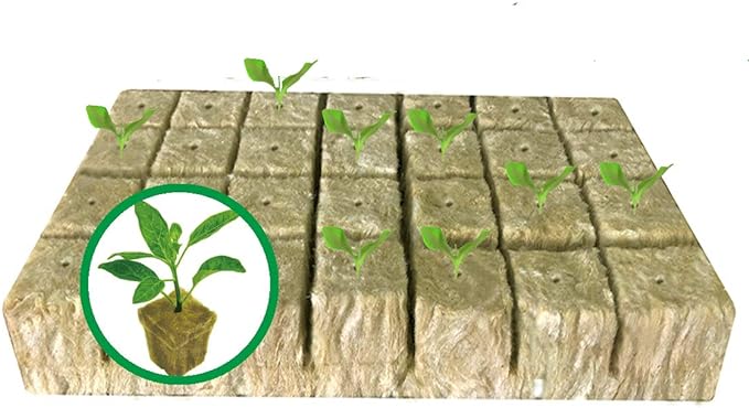 1.5” Rockwool Starter Plugs for Hydroponics, Rockwool Grow Cubes, 1 Sheets of 28 Plugs (Small)