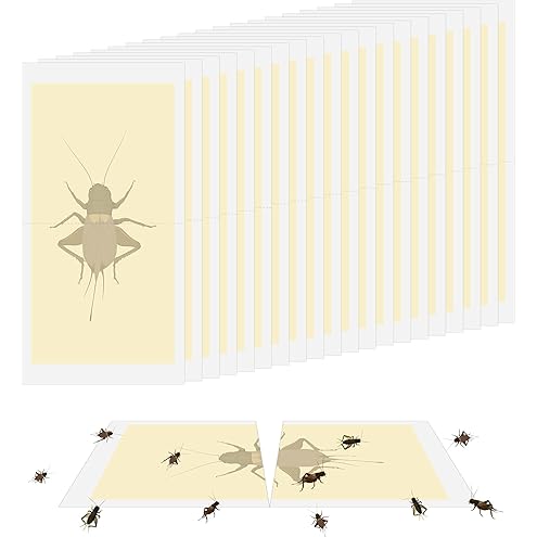 LULUCATCH Cricket & Insect Glue Traps 24 Pack, Adhesive Bug Catcher, Pre-Baited Spider Scorpion Trap, Non-Toxic Glue Boards Indoor for Home Catching Bugs,Small Mice & Rodents, Pet Safe Pest Control