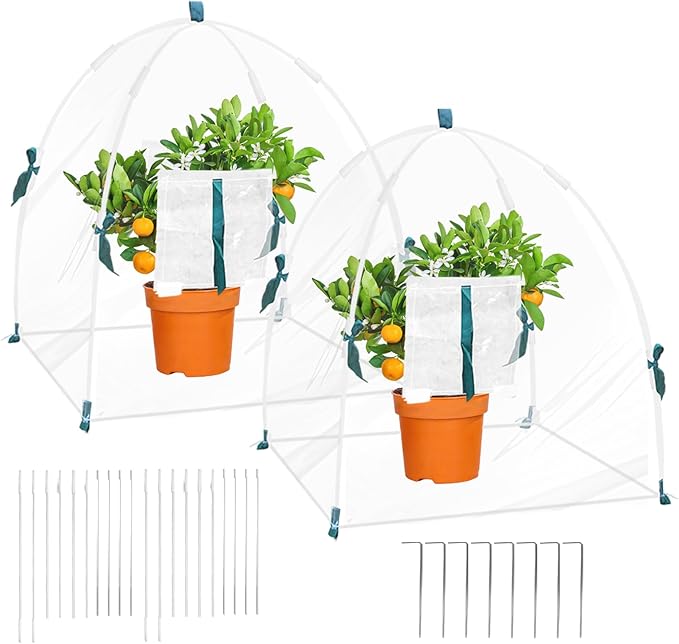 2 PCS Plant Covers Freeze Protection for Winter, Clear Outdoor Garden Frost Cover, Portable Mini Greenhouse, Transparent Waterproof Freeze Tent for Outdoors Potted Plants (Transparent)