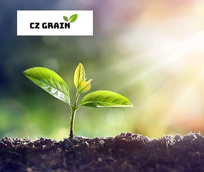 'Bring Me Love Parrot Tulip Bulbs for Planting - Easy to Grow Perennial Flowers (20 Bulbs)