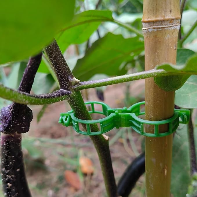 Plant Support Clips, 100 Pcs Tomato Clips, Plastic Trellis Clips, Grape Vine Tomato Vine Vegetables Plants Garden Support Clips to Grow Upright Makes Plants Healthier