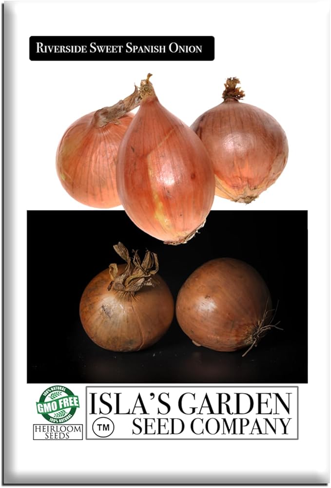 Riverside Sweet Spanish Onion Seeds (Allium cepa) – 300+ Heirloom Non-GMO Seeds by Isla’s Garden Seeds, Large Mild Long-Day Bulbs for Fresh Eating & Storage, High-Yield Garden Variety, Gift Idea