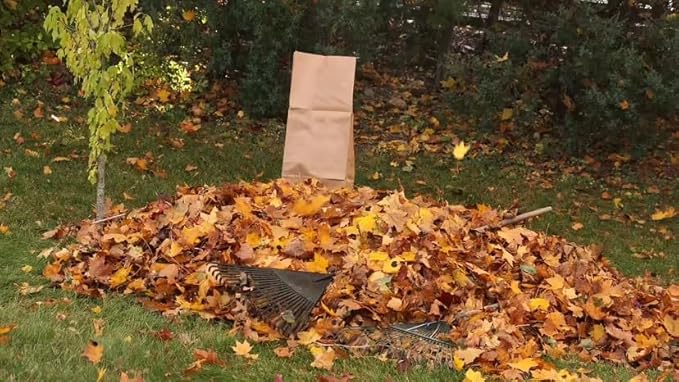 Rocky Mountain Goods Yard Waste Bags - Large 30 Gallon Brown Paper Leaf Bags for Yard/Garden - Environmental Friendly Lawn Bags - Tear Resistant Refuse Yard Bag - Heavy Duty 2 Ply Self Standing (25)