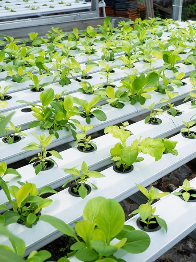 1.5inch Hydroponics Cubes, 72 Set Cubes with 72 Net Cups 30 Label, Good Absorption Hydroponics Mesh Net Cup Kit for Hydroponics Soilless Cultivation Seedlings Cuttings Clone Plants