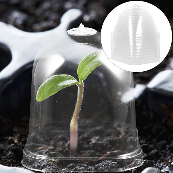 SUPVOX 12pcs Greenhouse Humidity Dome Covers for Flower Pots and Cloche Square Shape Design for Optimal Plant Growth and Easy Observation