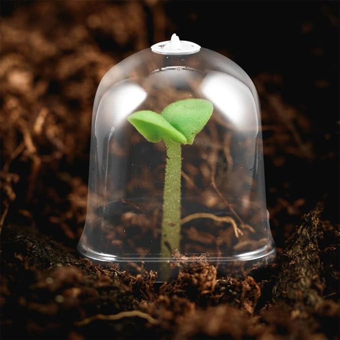 SUPVOX 12pcs Greenhouse Humidity Dome Covers for Flower Pots and Cloche Square Shape Design for Optimal Plant Growth and Easy Observation