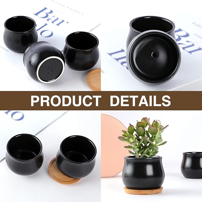 2 Pack Succulent Pots, 2.5 Inch Mini Ceramic Pots for Flower or Cactus Plants with Drainage Hole,Plants Not Included (Black)