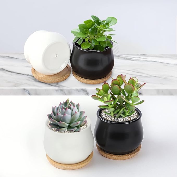 2 Pack Succulent Pots, 2.5 Inch Mini Ceramic Pots for Flower or Cactus Plants with Drainage Hole,Plants Not Included (Black)