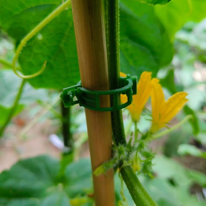 Plant Support Clips, 200 Pcs Tomato Clips, Plastic Trellis Clips, Grape Vine Tomato Vine Vegetables Plants Garden Support Clips to Grow Upright Makes Plants Healthier