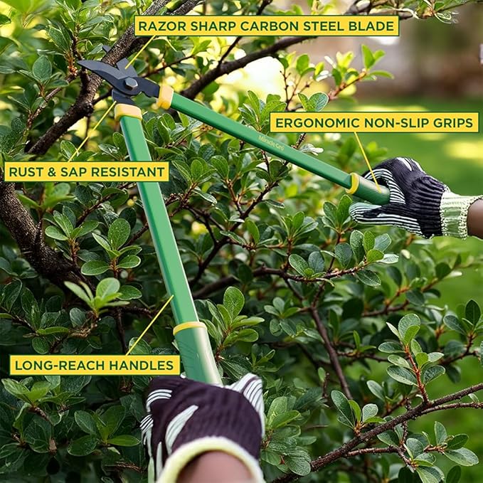 Miracle-Gro 24 in. Bypass Lopper for Tree Branch Trimming and Pruning – Heavy-Duty Branch Cutter with Ultra-Sharp Carbon Steel Blade, 1.5 in. Cutting Capacity and Comfort Grip Handles