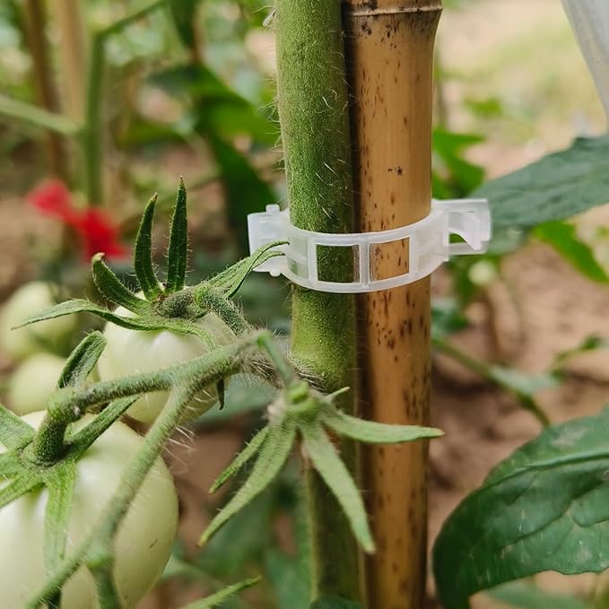 Plant Support Clips, 200 Pcs Tomato Clips, Plastic Trellis Clips, Grape Vine Tomato Vine Vegetables Plants Garden Support Clips to Grow Upright Makes Plants Healthier