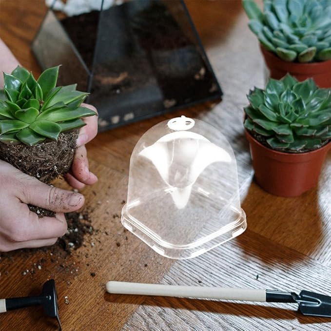 SUPVOX 12pcs Greenhouse Humidity Dome Covers for Flower Pots and Cloche Square Shape Design for Optimal Plant Growth and Easy Observation