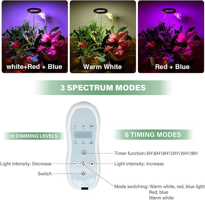 Venus Fly Trap Terrarium,Butterwort Plant Live Pot,Not Live Plant, Keeps Potted Soil Moist Makes a Great Gift Choice, Home Office Decor (White)