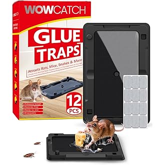 Sticky Mouse Traps Indoor for Home - 16 Pack Pre-baited Glue Traps for Roaches, Spider, Lizard, Bulk Sticky Rodent Catcher for Kitchen, Garage, Pet Safe Pest Control, Non-Toxic, Small Size