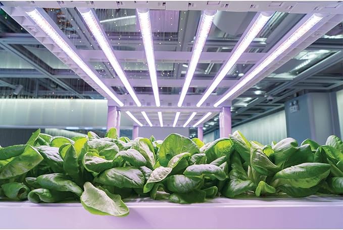 Westinghouse 6365800 SunTube Horticultural LED Grow Light, Silver