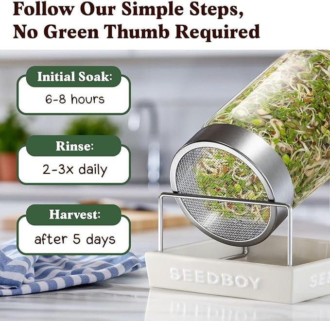 Seedboy Organic Non-GMO Sprouting Seeds, Fresh Salad Blend – USA Grown Microgreens Mix with Alfalfa, Broccoli, Radish, Mung Bean & Lentil – 8 oz Bag Makes 8 Quarts / 24 Servings (Salad Blend)