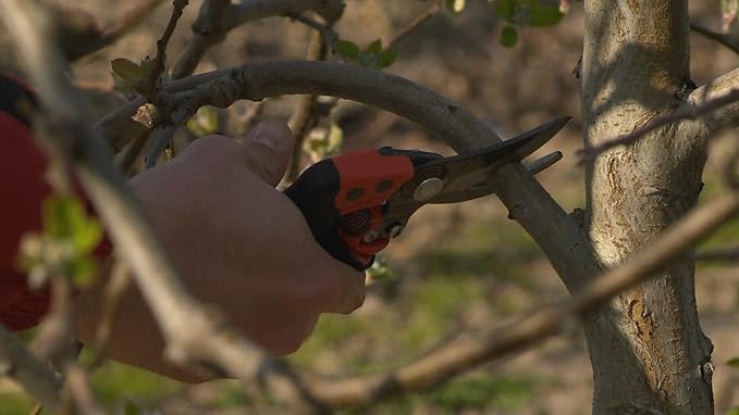 Bahco Ergonomic Pruner with Rotating Medium Handle PXR-M2