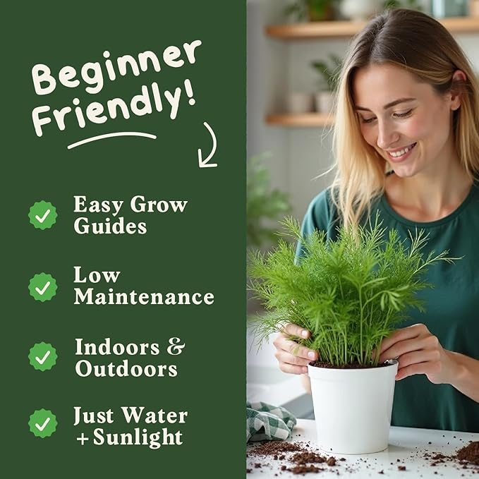 Seedboy Organic Dill Seeds for Planting Indoor and Outdoor, Non-GMO and USDA Certified Herb Seed Packet for Hydroponic Garden Indoor or Planting Outdoors (Bouquet Dill)