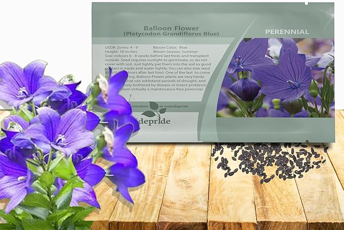 Outsidepride Blue Balloon Flower Seeds for Planting – 1000 Pcs Perennial, Drought-Tolerant, Easy to Grow, Low Maintenance, Pollinator-Friendly, Star-Shaped Blooms for Outdoor Gardens and Borders