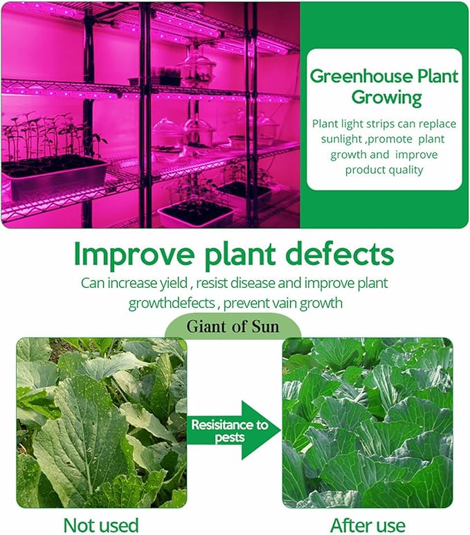 Solar Powered Grow Lights, 16.4ft Plant Light Strip with Solar Panel Full Spectrum Solar Grow Lights, Solar Heat Lamp for Outdoor Indoor Garden Greenhouse Supplies, Solar Powered Grow Lights