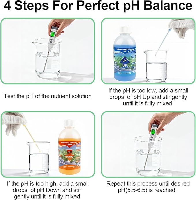 Kactoily pH Up and Down Control Kit, 250ml x 2 Bottles, Hydroponic Balance Solution