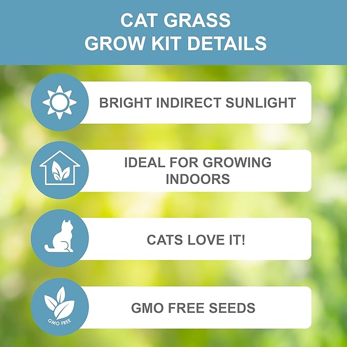 Garden State Bulb Cat Grass for Indoor Cats - Growing Kit - Organic Cat Grass Seeds, Soil with Mouse Toy and Meow Container (Non GMO) - Locally Sourced Seeds! (2 Pack)