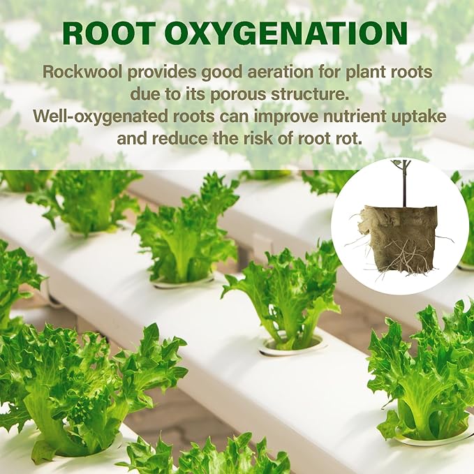 1.5” Rockwool Starter Plugs for Hydroponics, Rockwool Grow Cubes, 1 Sheets of 28 Plugs (Small)