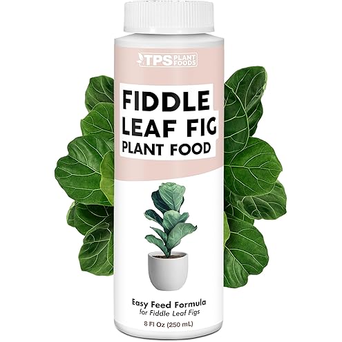 Organic Fiddle Leaf Fig Plant Food, Slow Release Dry Granular Fertilizer for Fig Plants and Ficus Trees (6 Ounces)