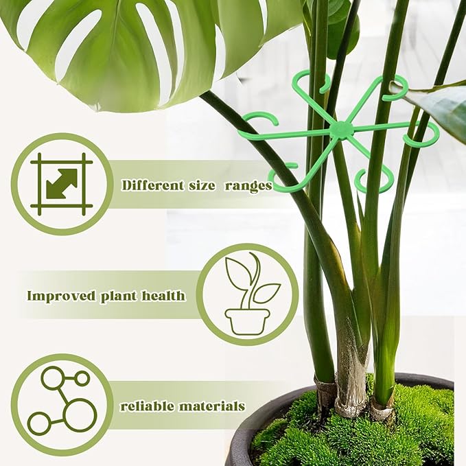 4Pcs Plant Stem Supports, Reusable Plastic Plant Accessories Indoor, Monstera Plant Support for Climbing Houseplants, Stakes Trellis Stem Hook Growth Tools for Neat Garden Arrangement(Green)