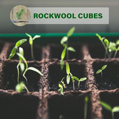 1.5” Rockwool Starter Plugs for Hydroponics, Rockwool Grow Cubes, 1 Sheets of 28 Plugs (Small)