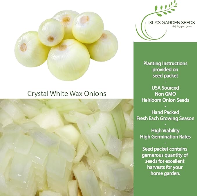 Crystal White Wax Onion Seeds (Allium cepa) – 500+ Non-GMO Heirloom Seeds by Isla’s Garden Seeds, Small Pearl-Style Onions with Mild Flavor, Perfect for Pickling & Roasting, Early Maturing Variety