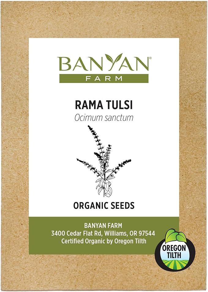 Banyan Botanicals Organic Rama Tulsi Seeds – Ocimum Sanctum – Tulsi (Holy Basil) Seeds for Tea, Cooking & Herbal Formulas – 50 Count – Open Pollinated Non-GMO Easy to Grow