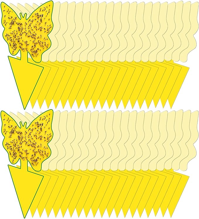 40 Pack Fungus Gnat Traps for House Indoor Yellow Sticky Traps for Gnats Sticky Traps for Plants, Dual-Sided Fungus Gnat Sticky Traps Fruit Fly Traps for Indoors