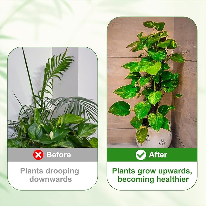 uxcell Plant Support Stakes Set, 8 Pcs Twig Plant Stem Support Structures 27.5" Plants Branches Supports with Extension Poles, Orchid Clips, Plants Tie for House Potted Monstera, Green