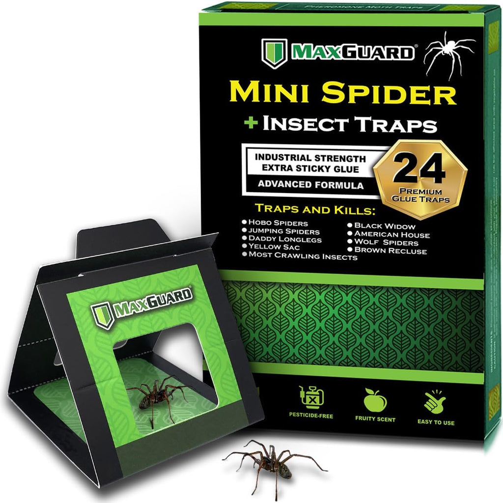 MaxGuard Spider + Insect Traps (12 pcs Box Trap) | Non-Toxic Extra Sticky Glue Traps, Kill Black Widow Hobo Brown Recluse Spiders and Other Crawling Bugs & Insects |