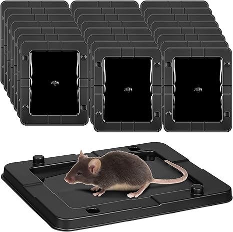 Qualirey 24 Pack Mouse Insect Glue Traps Bulk Strong Sticky Mouse Traps Large Baited Glue Trays for Mice Snakes Indoor Rodent Killer Plastic Sticky Non Toxic Killer for Home Indoor Outdoor