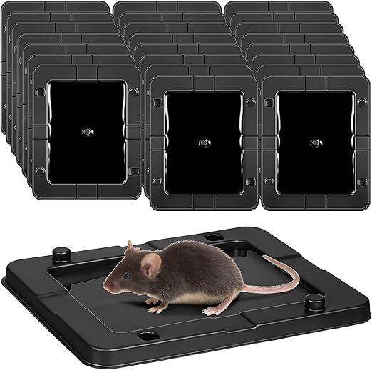 Qualirey 24 Pack Mouse Insect Glue Traps Bulk Strong Sticky Mouse Traps Large Baited Glue Trays for Mice Snakes Indoor Rodent Killer Plastic Sticky Non Toxic Killer for Home Indoor Outdoor