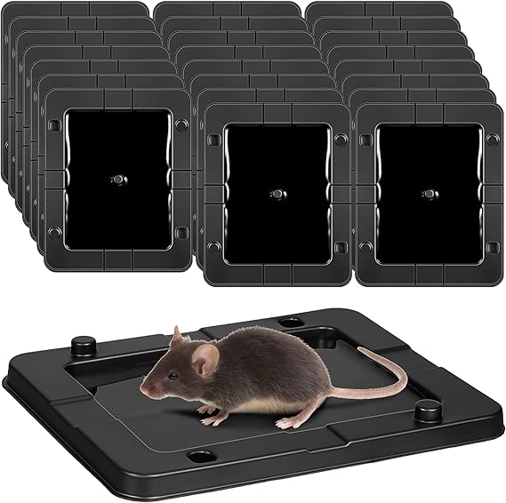 Qualirey 24 Pack Mouse Insect Glue Traps Bulk Strong Sticky Mouse Traps Large Baited Glue Trays for Mice Snakes Indoor Rodent Killer Plastic Sticky Non Toxic Killer for Home Indoor Outdoor