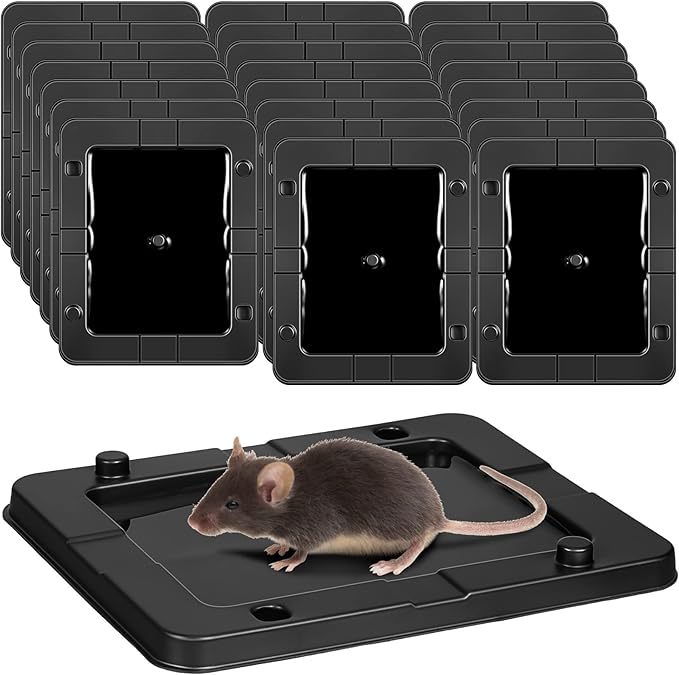 Qualirey 24 Pack Mouse Insect Glue Traps Bulk Strong Sticky Mouse Traps Large Baited Glue Trays for Mice Snakes Indoor Rodent Killer Plastic Sticky Non Toxic Killer for Home Indoor Outdoor