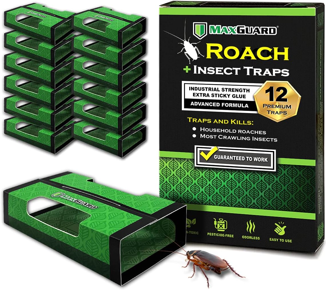 MaxGuard Roach + Spider Traps (12 Per Box) Non-Toxic Extra Sticky Box Traps | Kill German Cockroach, American and Oriental Plus Crawling Bugs & Insects House