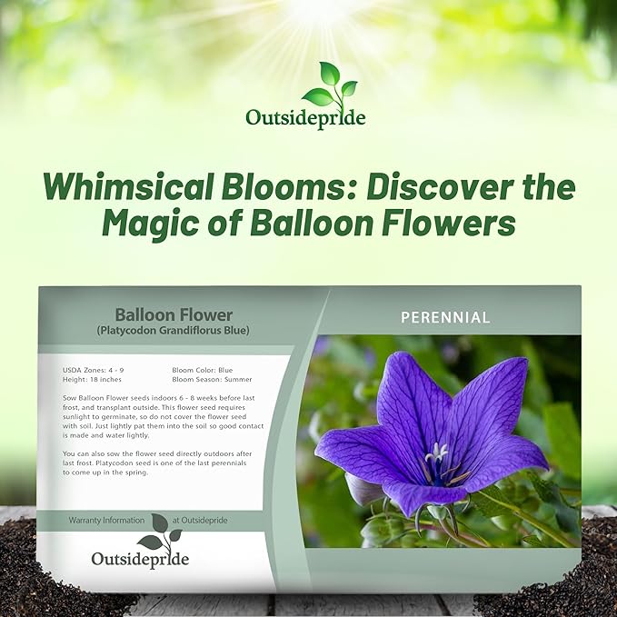 Outsidepride Blue Balloon Flower Seeds for Planting – 1000 Pcs Perennial, Drought-Tolerant, Easy to Grow, Low Maintenance, Pollinator-Friendly, Star-Shaped Blooms for Outdoor Gardens and Borders
