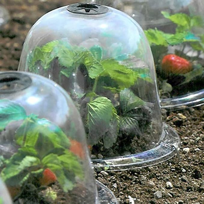 Happyyami Reusable Transparent Garden Cloches Plant Dome Cover for Outdoor Indoor Protection Greenhouse for Season Extension Easy to Install Plant Protector